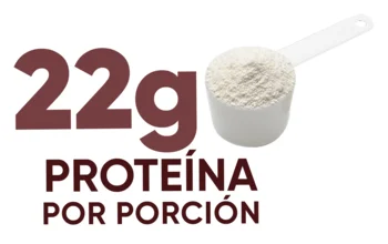 22g proteína