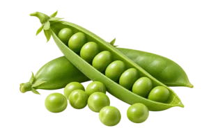 Chícharo